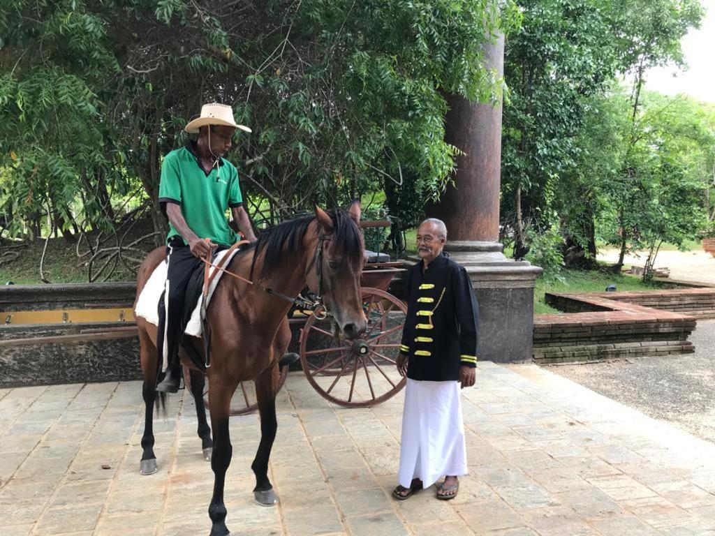 Aswadduma Hotel Dambulla Exterior photo